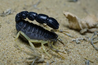 98b2b9290ee0a1311363a5f0b015aca5.jpeg (10.6 KiB) 11132 просмотра 98b2b9290ee0a1311363a5f0b015aca5.jpeg