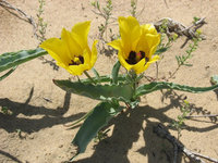 3637c24a92eff27d2d1bc2bf0b357833.jpeg (14.11 KiB) 11132 просмотра 3637c24a92eff27d2d1bc2bf0b357833.jpeg