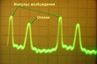 Отклик в пропорции ЗС.jpg