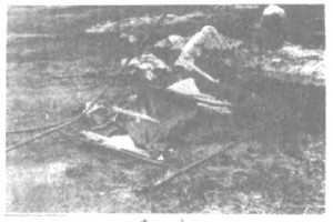 Screenshot_10.jpg