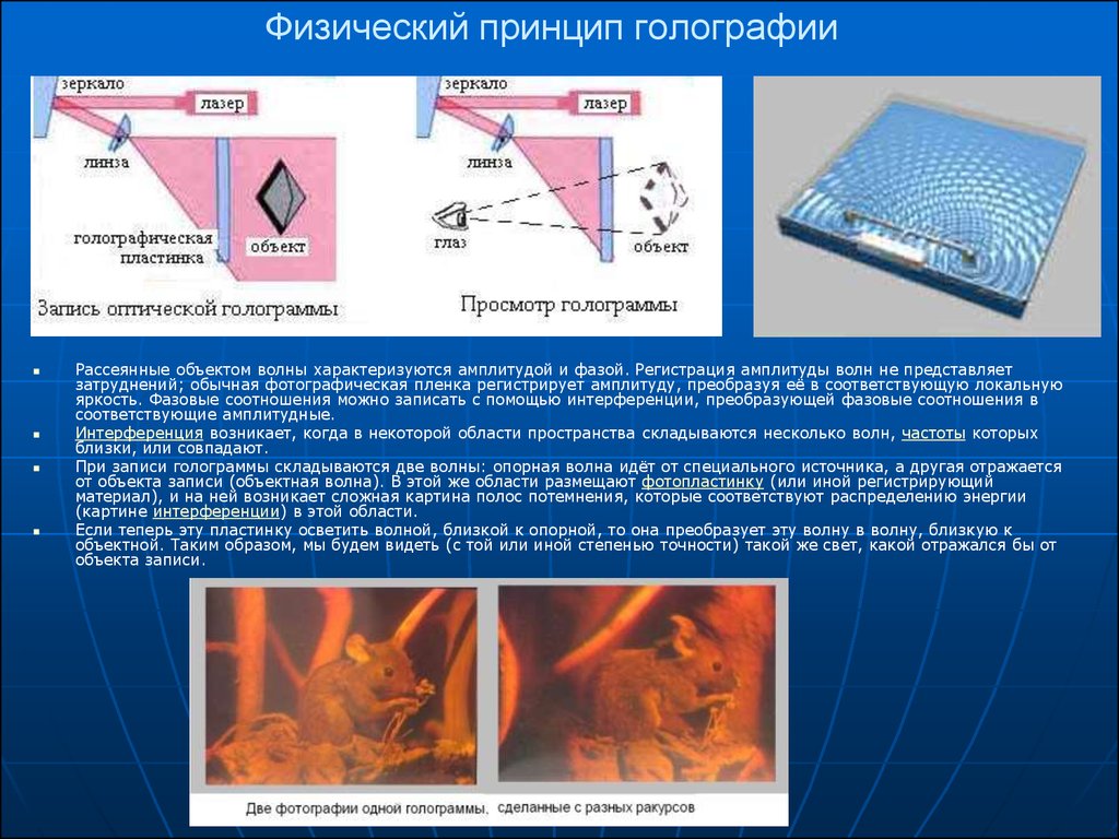 Физический принцип голографии.jpg