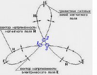 Трилистник силовых линий б.jpg